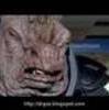 Judoon Song